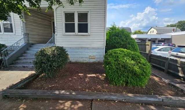 After: three reshaped shrubs in a bed of fresh dark mulch, the steps and walk cleared