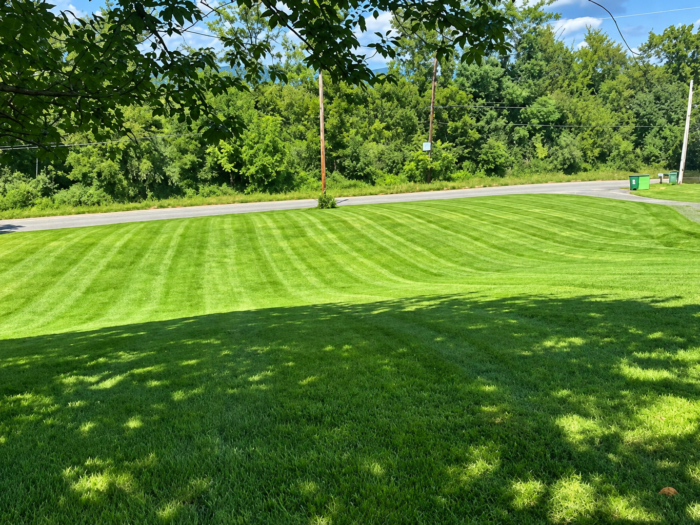 A large lawn mown in bold, even stripes running down to the road frontage
