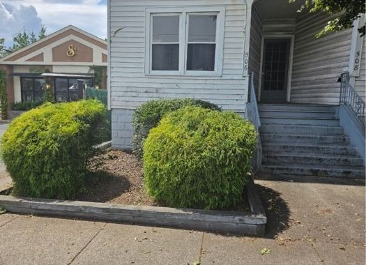 After: the same hedge cut back into three neat rounded shrubs, with the entry steps and sign now visible