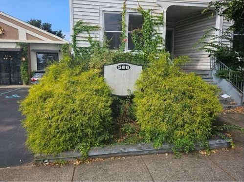 Before: an overgrown green hedge covering the front of the building and hiding the address sign