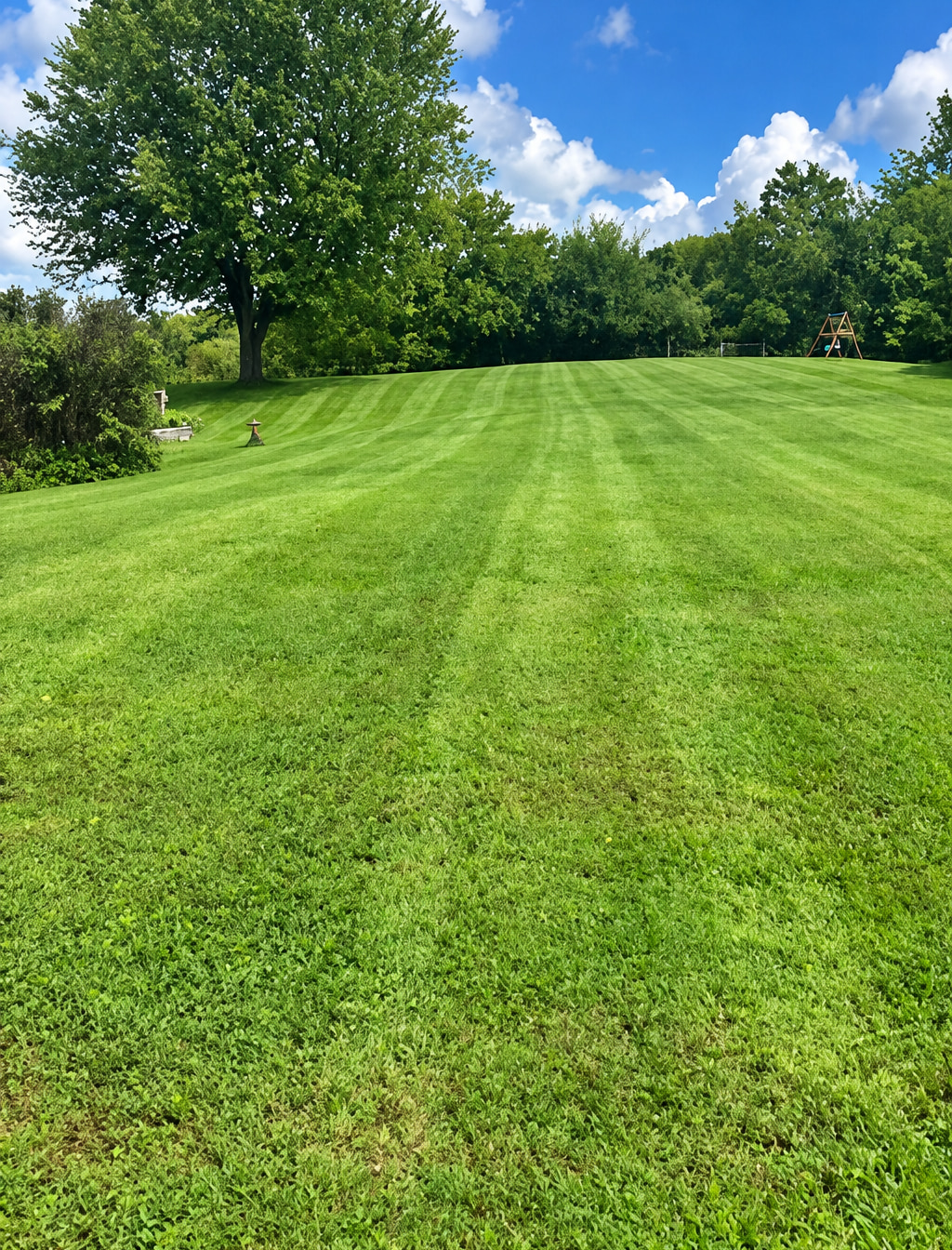 A large bank of turf held in even mowing stripes through the season